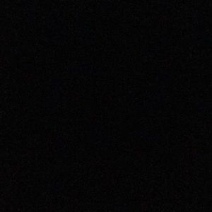 Meet your Posher, Daisy